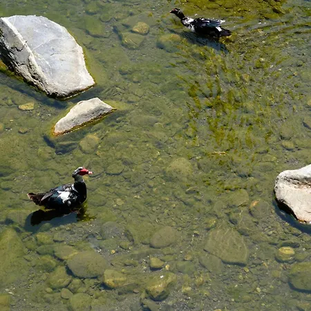 La Sosta Del Viandante