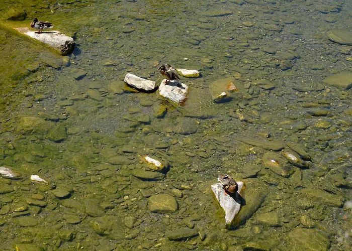La Sosta Del Viandante Vakantiehuis *
